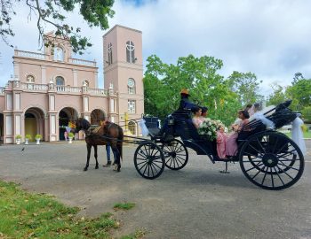 Royal-Horse-Carriages